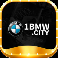 1bmwcity's Photo